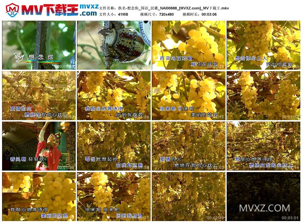 佚名-想念你_国语_民歌_NAI00688